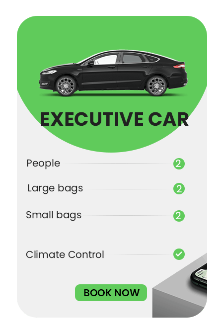 exe car